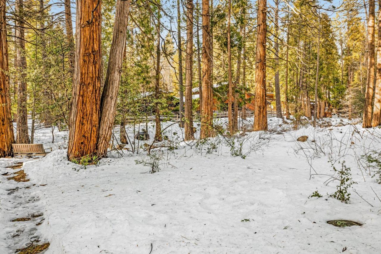 Creekside Cabin Hotel Idyllwild Exterior foto